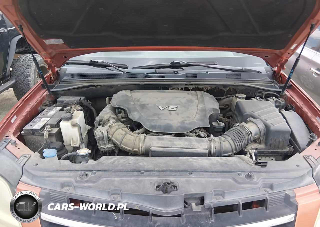 2009 Kia Borrego Lx V6 VIN:KNDJH741495026710 - 10