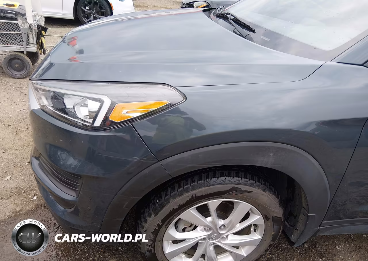 2021 Hyundai Tucson Value VIN:KM8J33A42MU308294 - 19