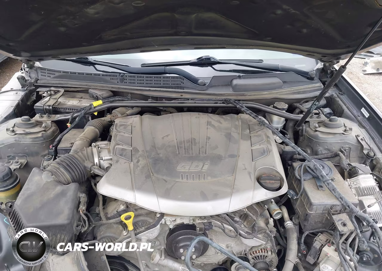 2014 Hyundai Genesis 3.8 Ultimate VIN:KMHHU6KJ7EU113374 - 10