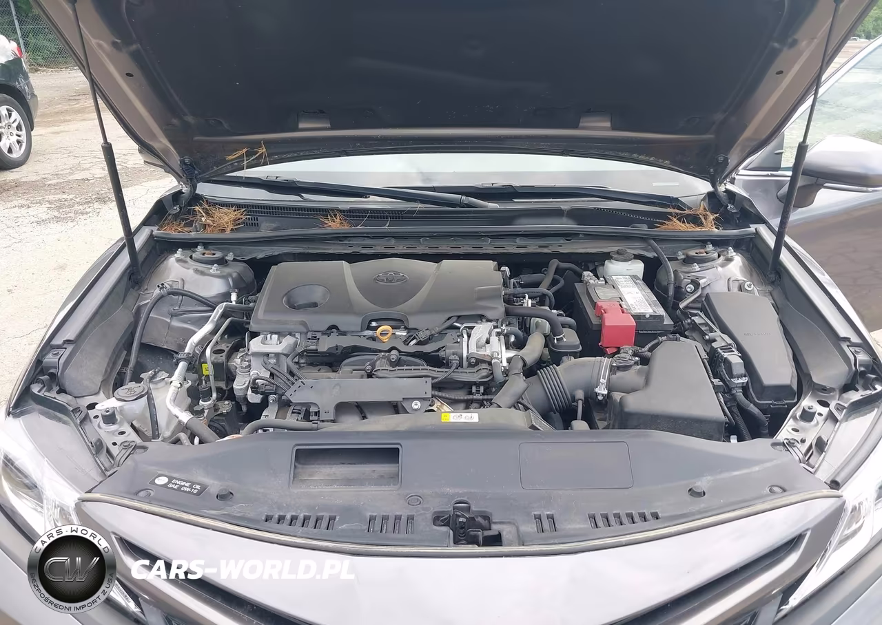 2019 Toyota Camry Se VIN:4T1B11HKXKU772031 - 10
