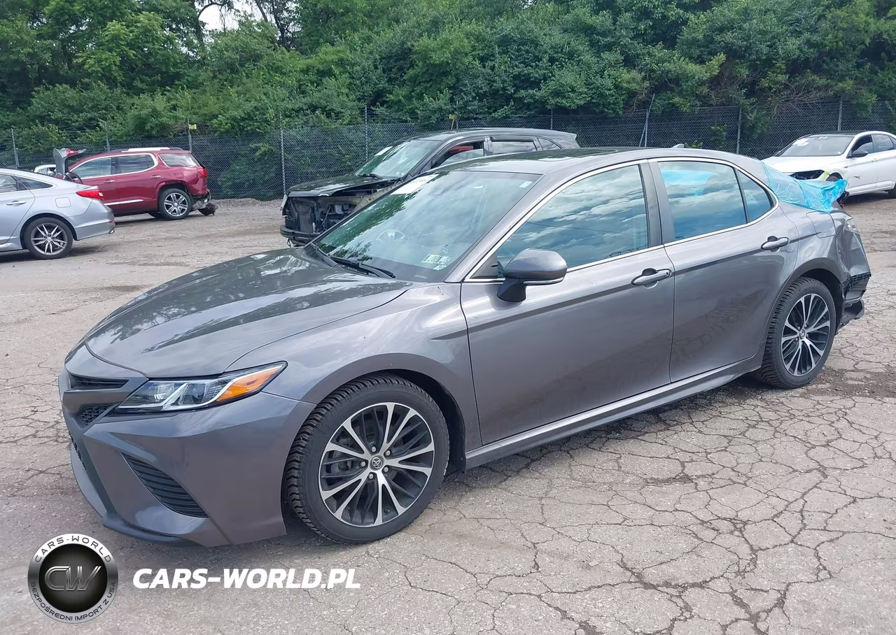 2019 Toyota Camry Se VIN:4T1B11HKXKU772031 - 2