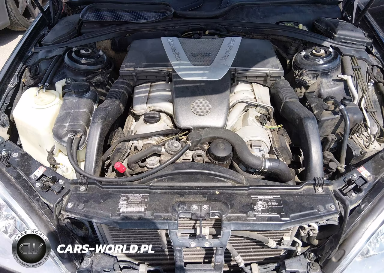 2001 Mercedes-Benz S 600 VIN:WDBNG78J01A189332 - 10