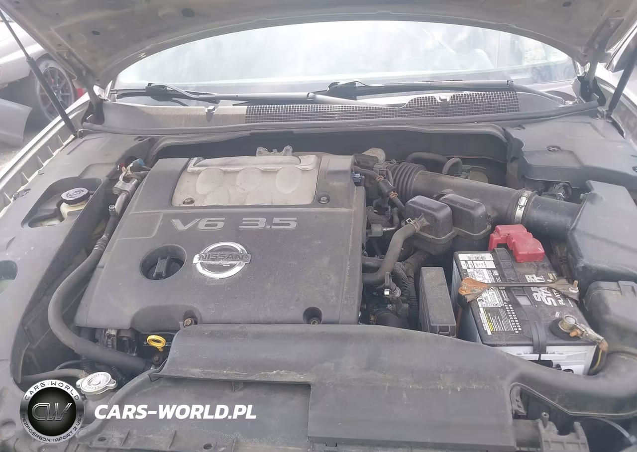2004 Nissan Maxima 3.5 Sl VIN:1N4BA41E84C867812 - 10