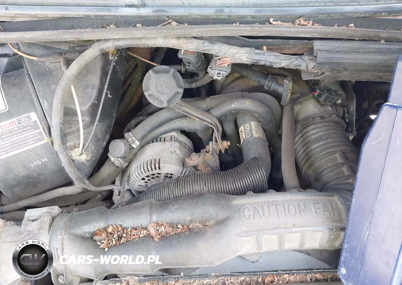 1993 Ford Aerostar VIN:1FMDA31U0PZB80213 - 6