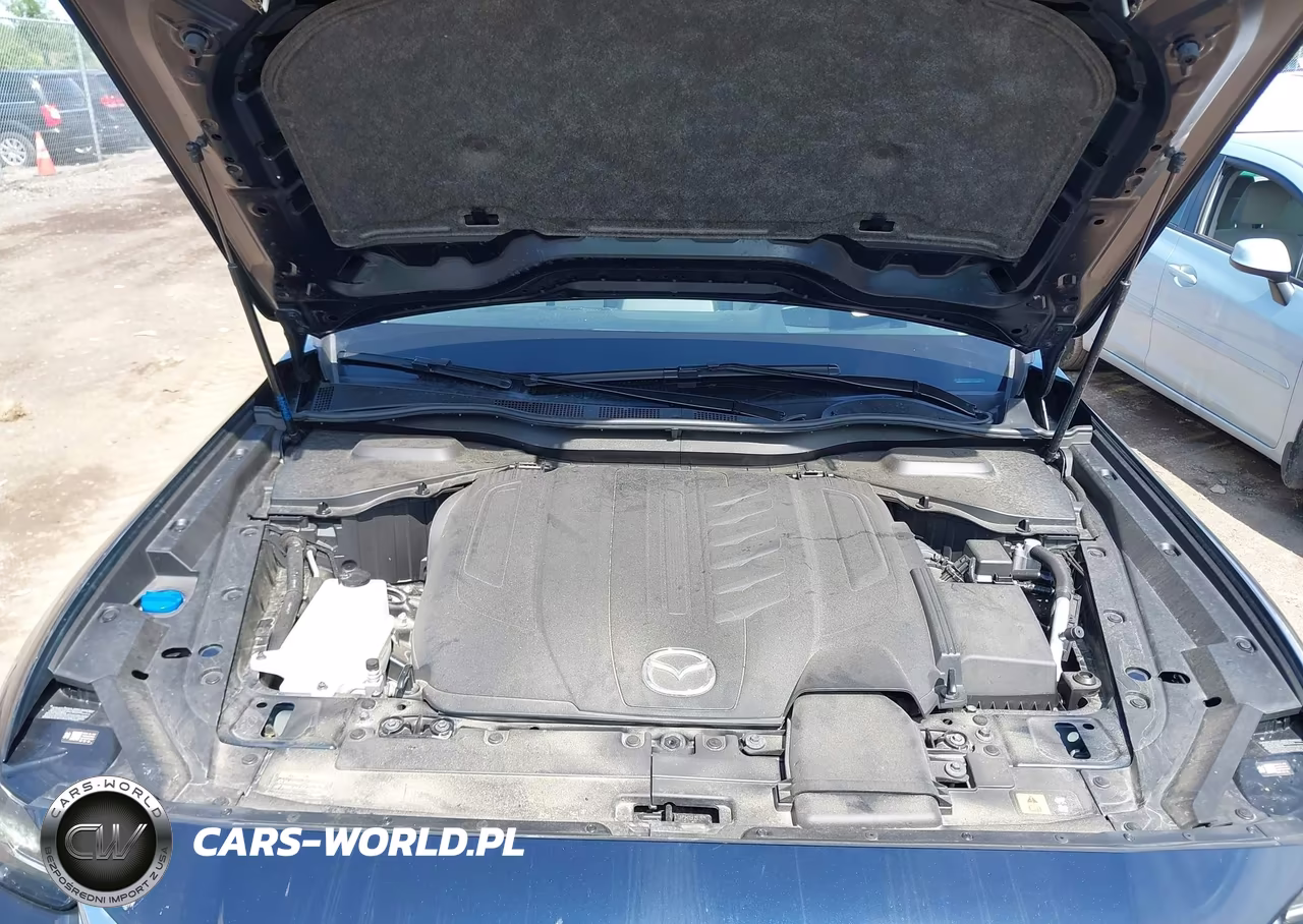 2024 Mazda Cx-90 3.3 Turbo Premium VIN:JM3KKDHD9R1164430 - 10