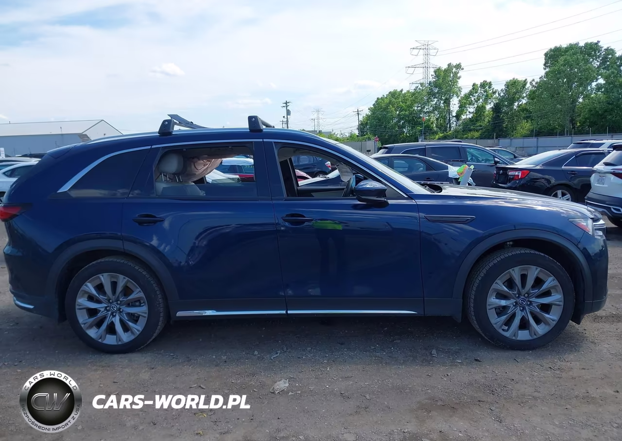 2024 Mazda Cx-90 3.3 Turbo Premium VIN:JM3KKDHD9R1164430 - 14