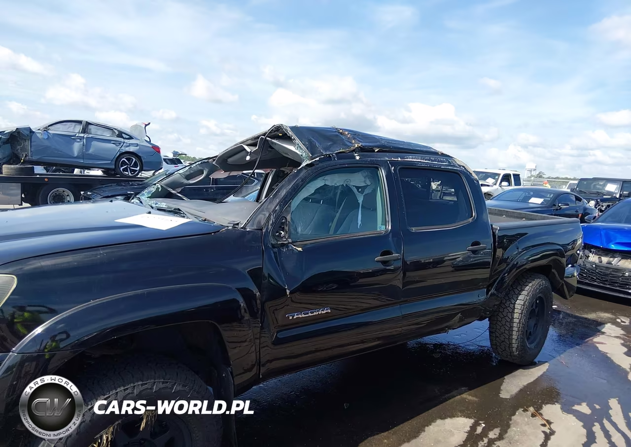 2009 Toyota Tacoma Base V6 VIN:3TMLU42N39M032002 - 6