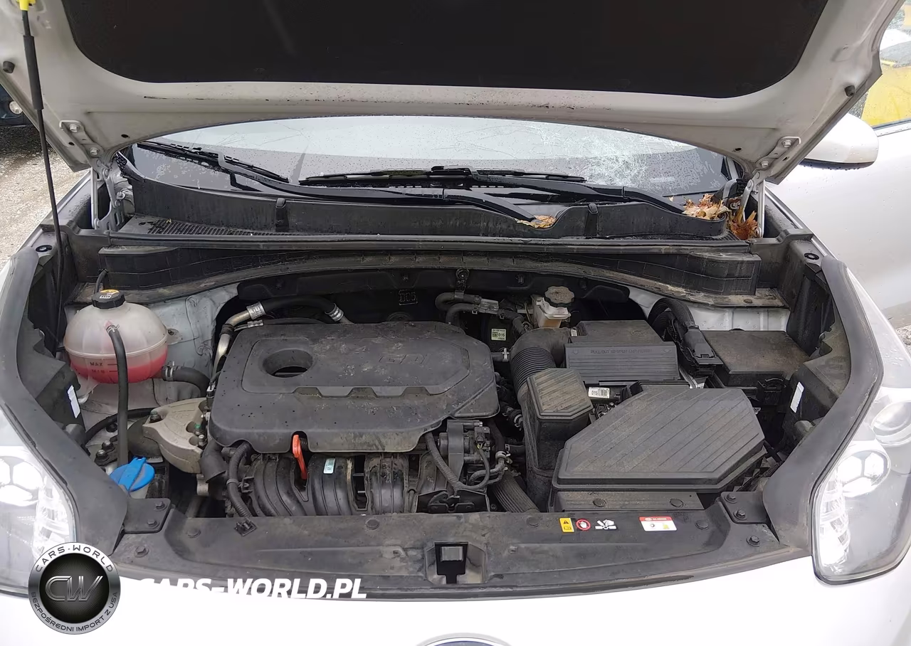 2021 Kia Sportage Lx VIN:KNDPM3AC9M7927380 - 10