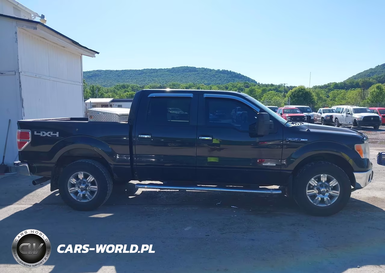 2012 Ford F-150 Xlt VIN:1FTFW1ET8CFA37994 - 13