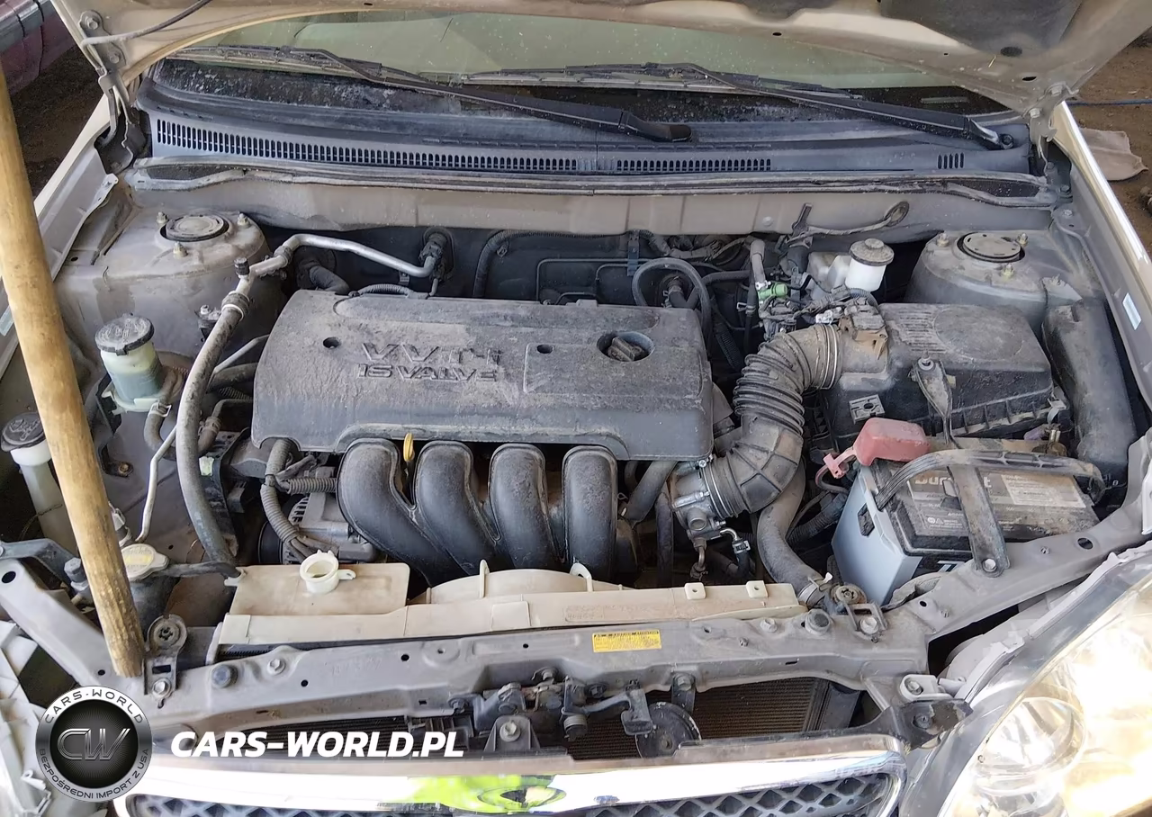2005 Toyota Corolla Ce VIN:1NXBR32E95Z448497 - 10