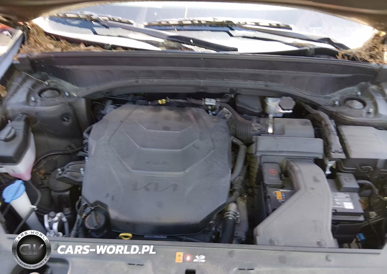 2023 Kia Telluride S VIN:5XYP6DGC2PG344129 - 10