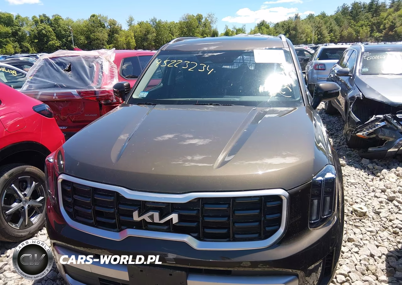 2023 Kia Telluride S VIN:5XYP6DGC2PG344129 - 13