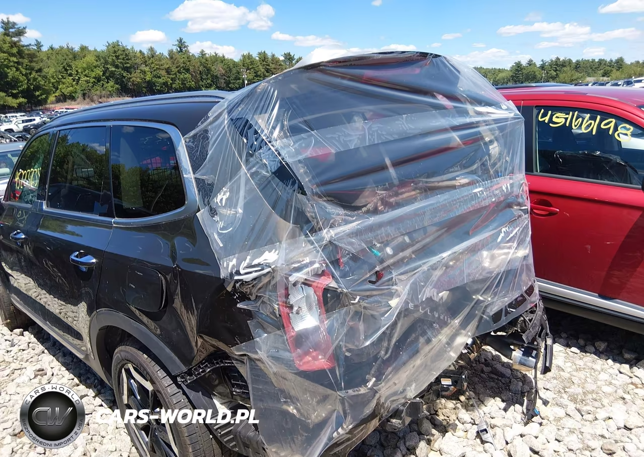 2023 Kia Telluride S VIN:5XYP6DGC2PG344129 - 3