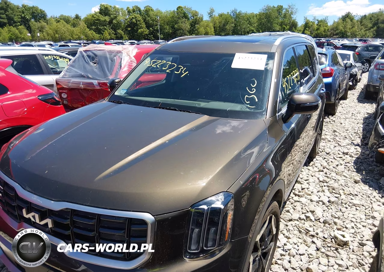 2023 Kia Telluride S VIN:5XYP6DGC2PG344129 - 9