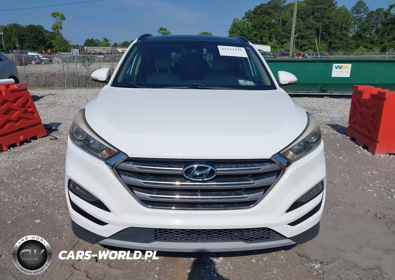 2017 Hyundai Tucson Limited VIN:KM8J33A25HU283301 - 12