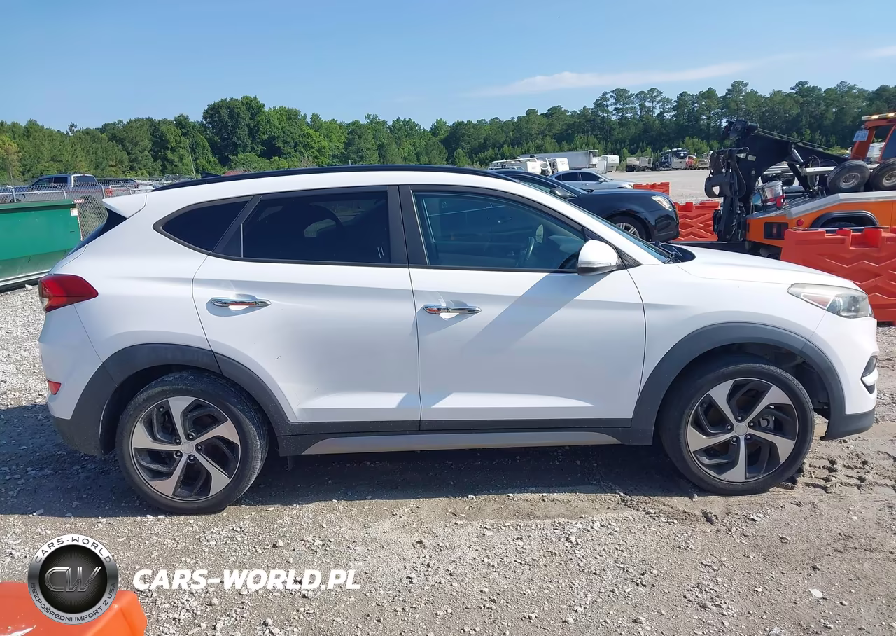 2017 Hyundai Tucson Limited VIN:KM8J33A25HU283301 - 13