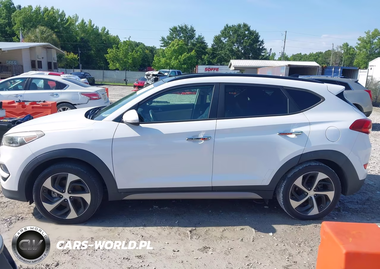 2017 Hyundai Tucson Limited VIN:KM8J33A25HU283301 - 14