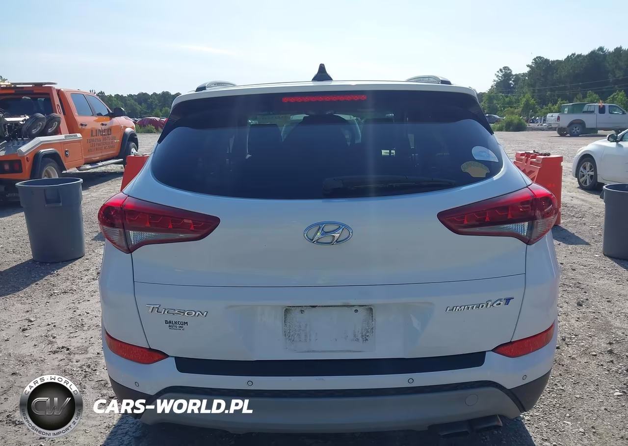 2017 Hyundai Tucson Limited VIN:KM8J33A25HU283301 - 16