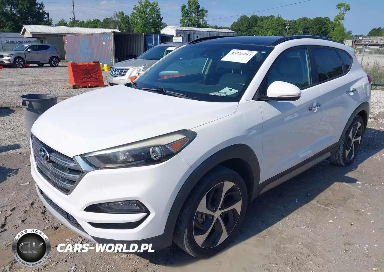 2017 Hyundai Tucson Limited VIN:KM8J33A25HU283301 - 2