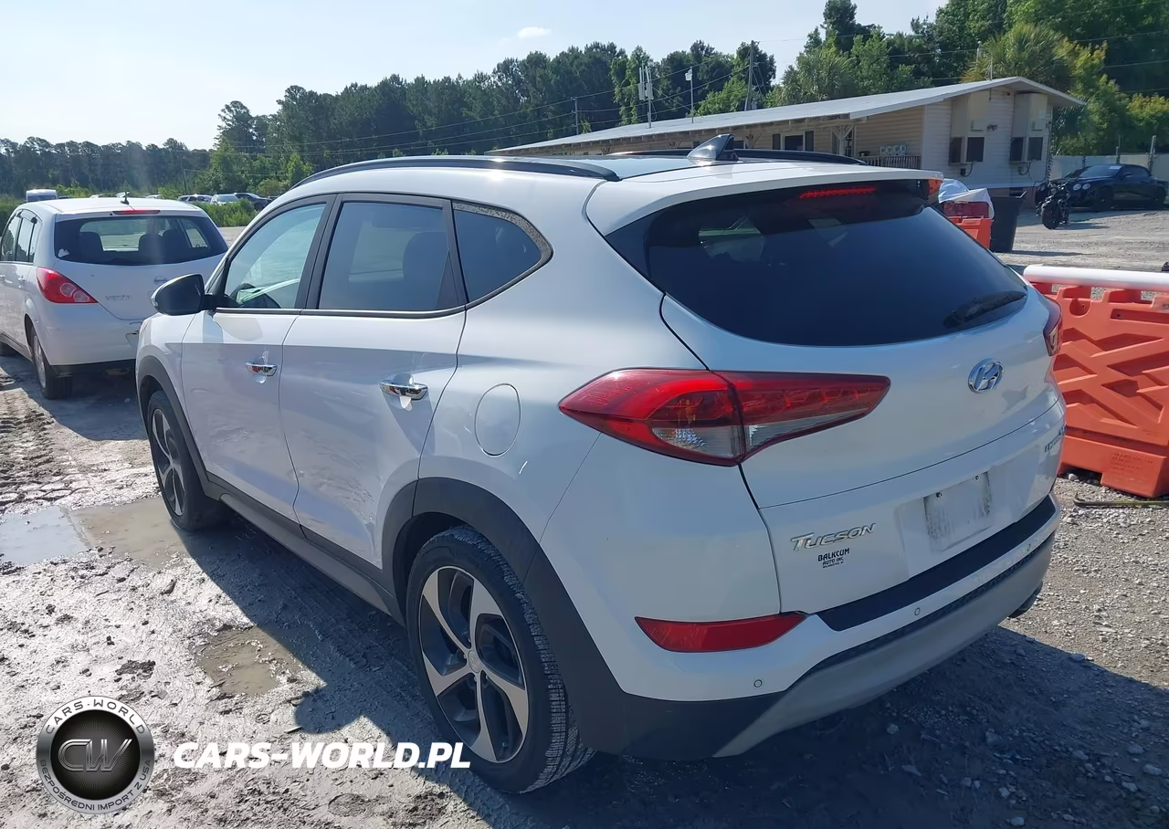 2017 Hyundai Tucson Limited VIN:KM8J33A25HU283301 - 3