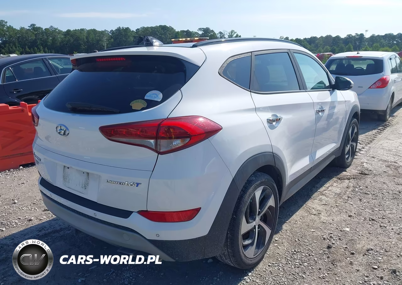 2017 Hyundai Tucson Limited VIN:KM8J33A25HU283301 - 4