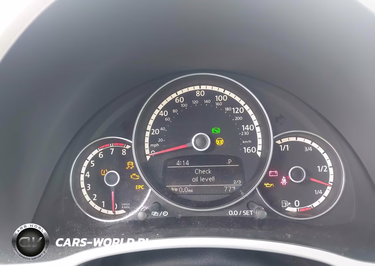 2013 VOLKSWAGEN BEETLE R-LINE VIN:3VWVT7AT1DM673264 - 7