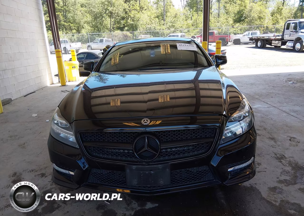 2013 Mercedes-Benz Cls 550 VIN:WDDLJ7DB9DA079284 - 12