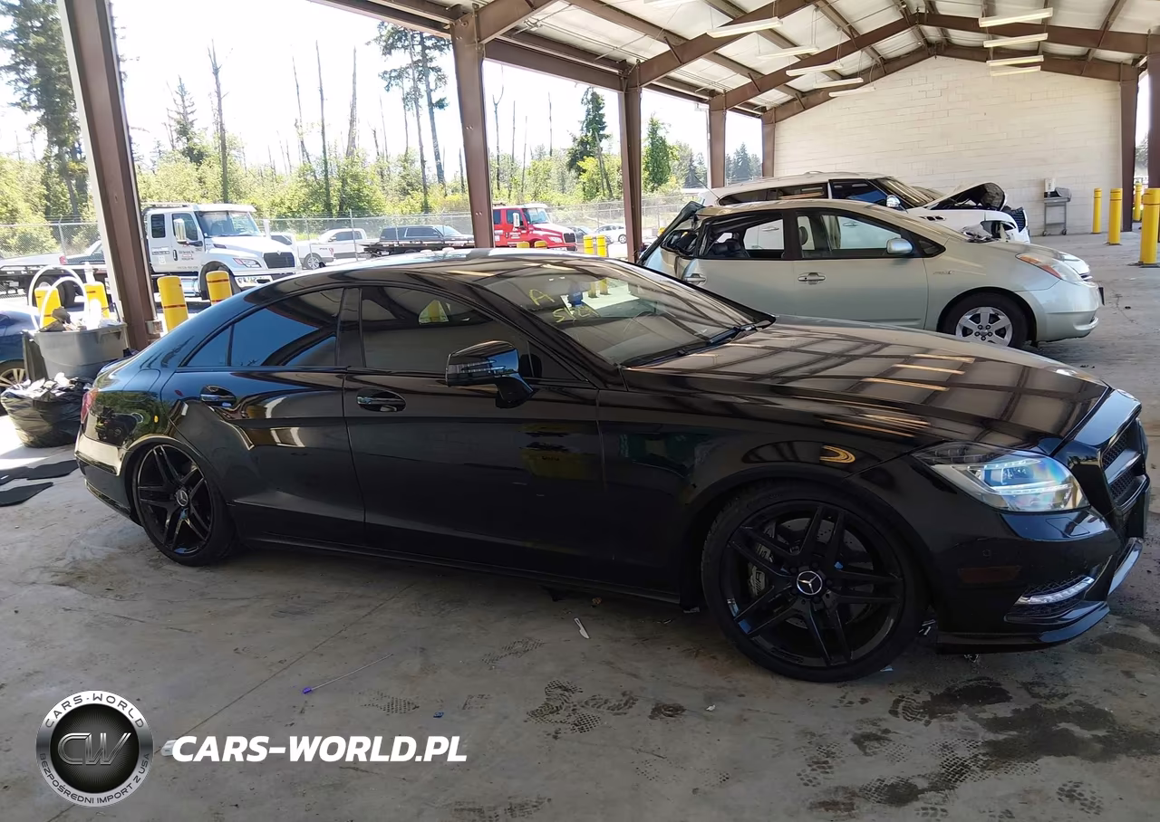 2013 Mercedes-Benz Cls 550 VIN:WDDLJ7DB9DA079284 - 13