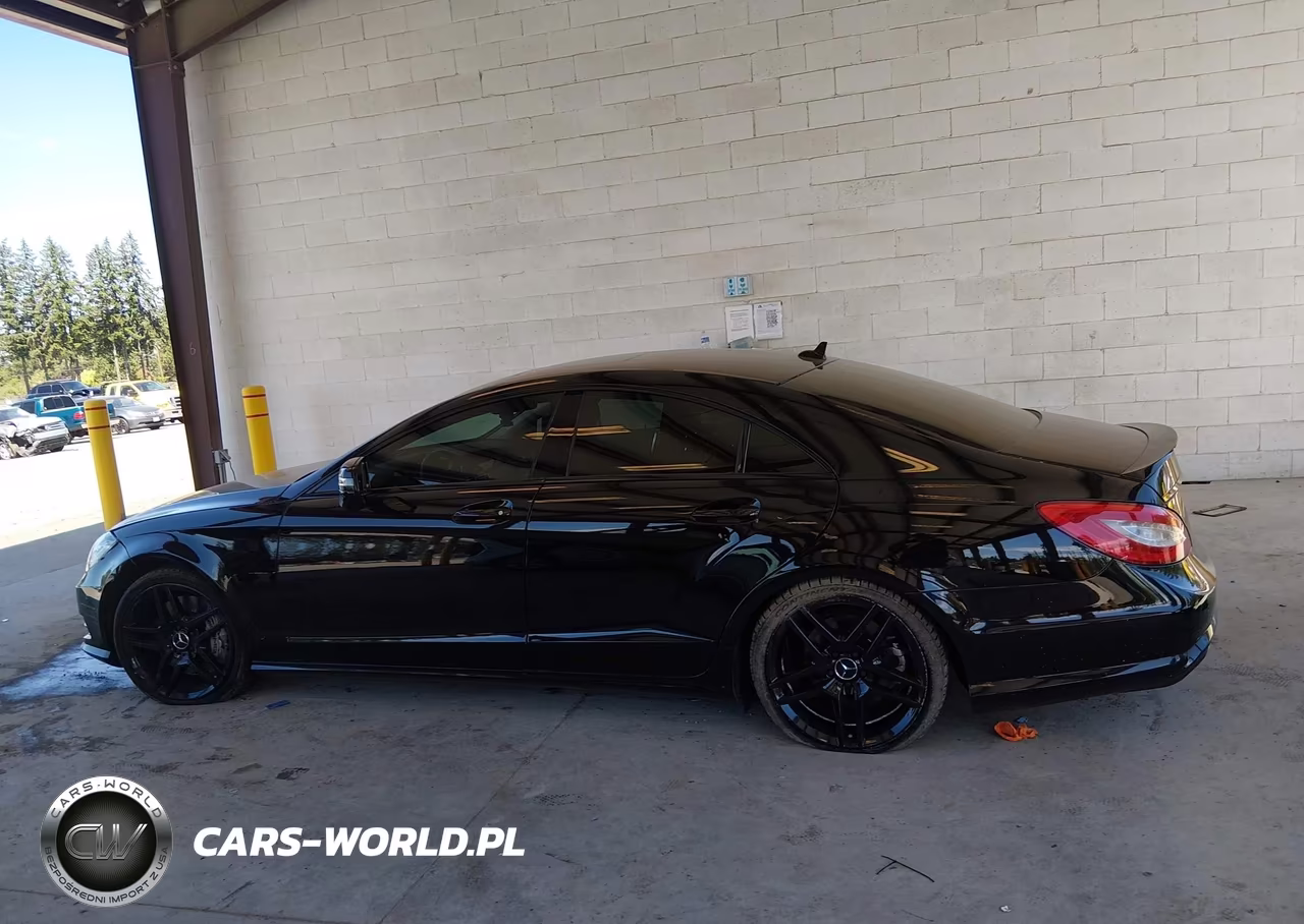 2013 Mercedes-Benz Cls 550 VIN:WDDLJ7DB9DA079284 - 14