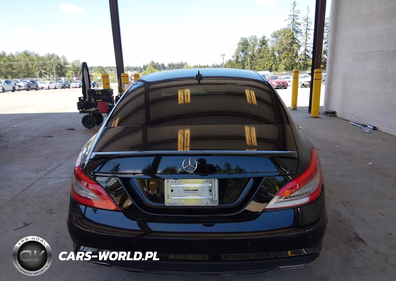 2013 Mercedes-Benz Cls 550 VIN:WDDLJ7DB9DA079284 - 16