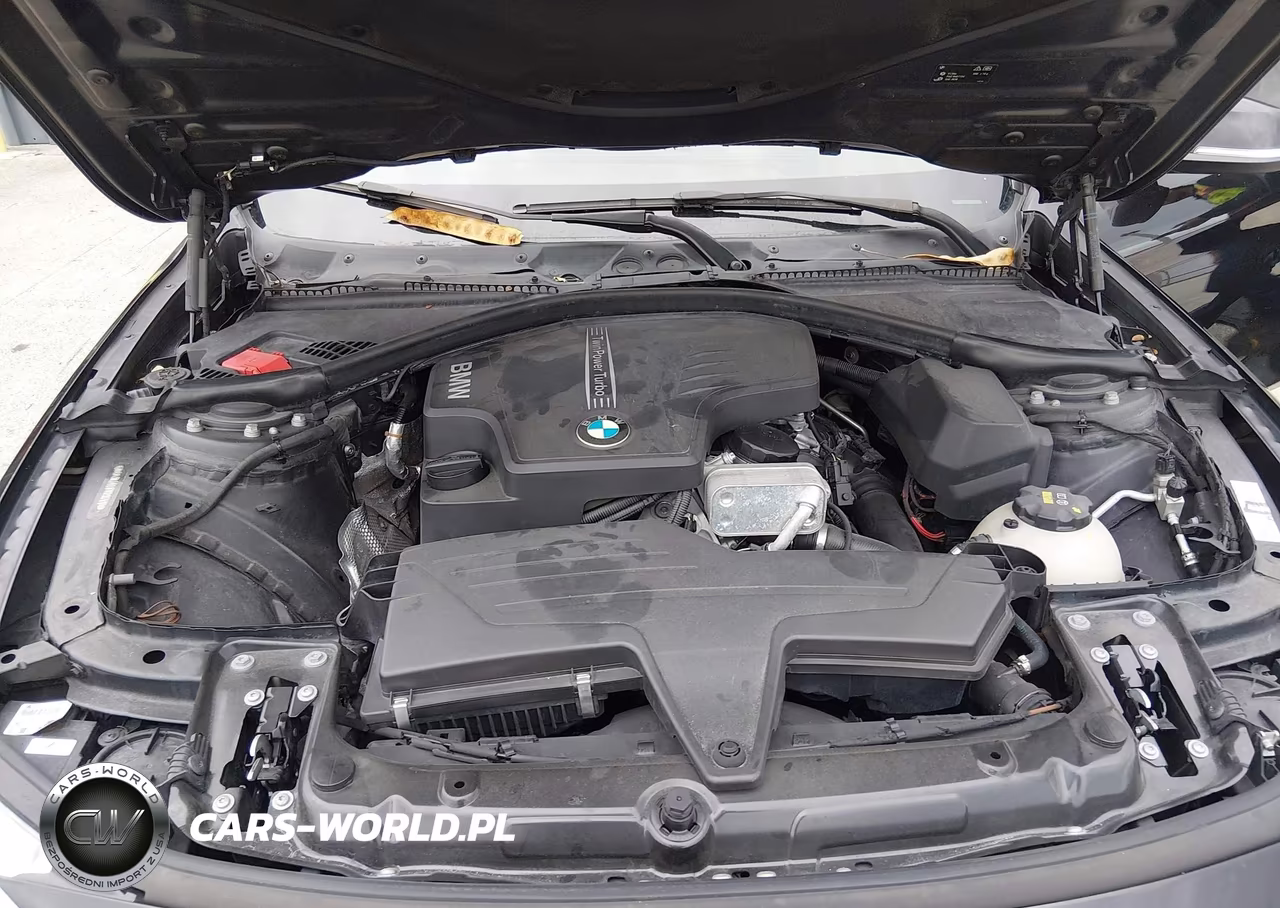 2015 BMW 428I VIN:WBA3N3C50FK233507 - 10
