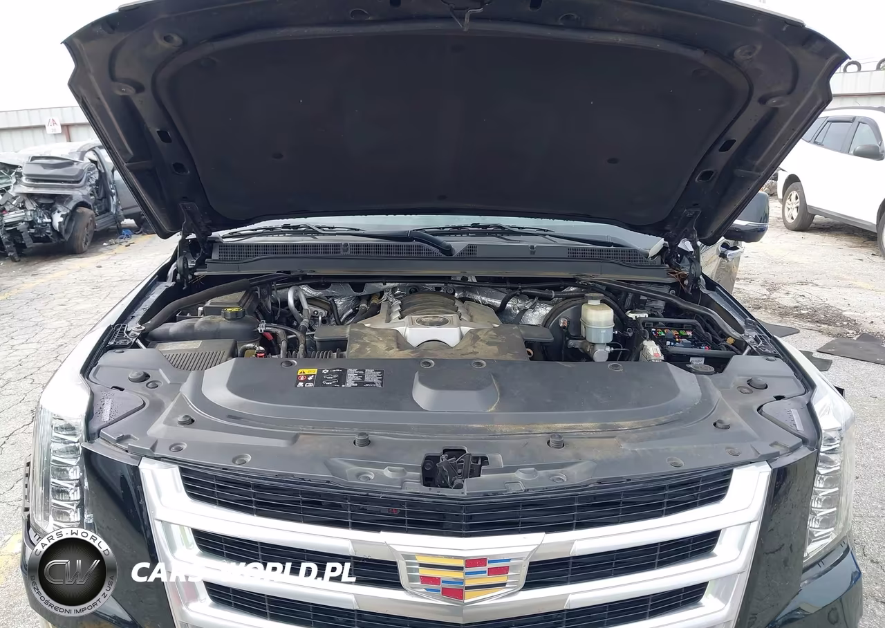 2016 Cadillac Escalade Esv Standard VIN:1GYS3GKJXGR161213 - 10