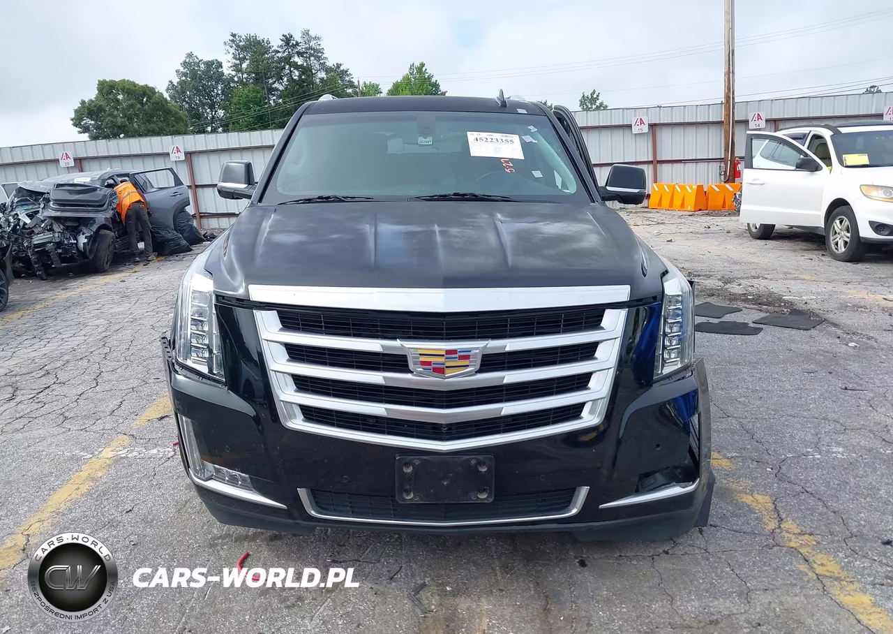 2016 Cadillac Escalade Esv Standard VIN:1GYS3GKJXGR161213 - 12
