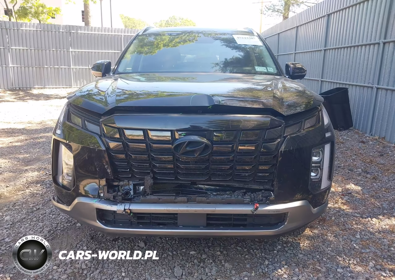 2024 Hyundai Palisade Limited VIN:KM8R5DGE7RU803956 - 12