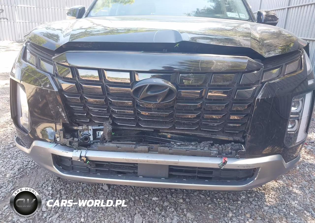 2024 Hyundai Palisade Limited VIN:KM8R5DGE7RU803956 - 6