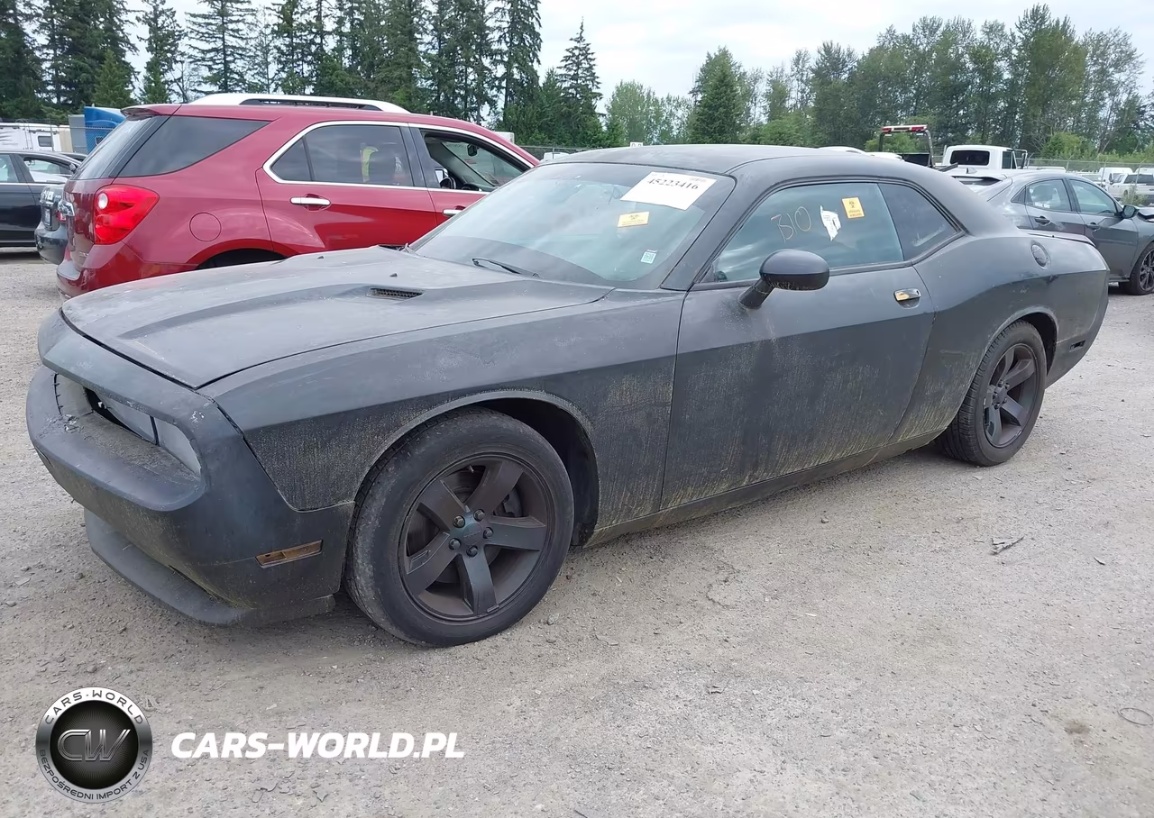 2014 Dodge Challenger R-T VIN:2C3CDYBT1EH225817 - 2