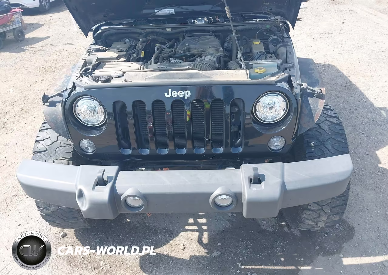 2017 Jeep Wrangler Unlimited Rubicon 4X4 VIN:1C4BJWFGXHL731851 - 10