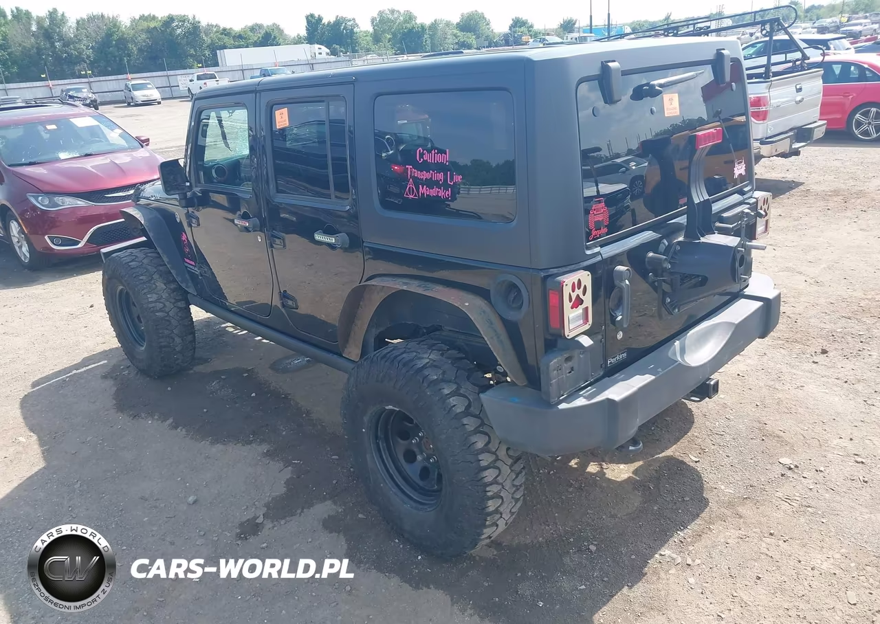 2017 Jeep Wrangler Unlimited Rubicon 4X4 VIN:1C4BJWFGXHL731851 - 16