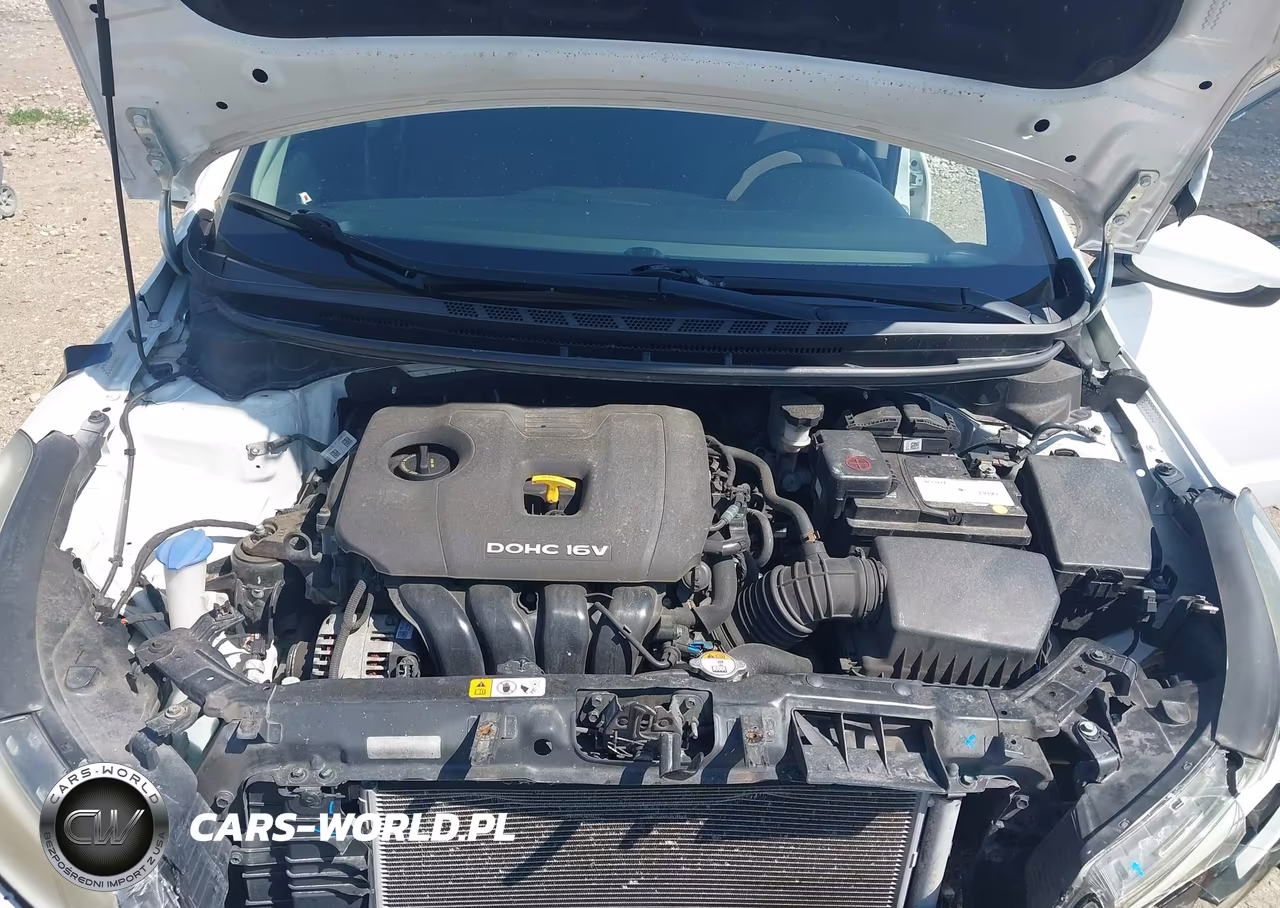 2017 Kia Forte Lx VIN:3KPFK4A75HE022599 - 10