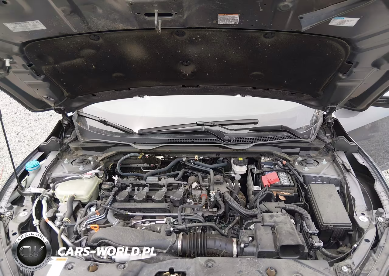 2021 Honda Civic Ex VIN:19XFC1F3XME013036 - 10