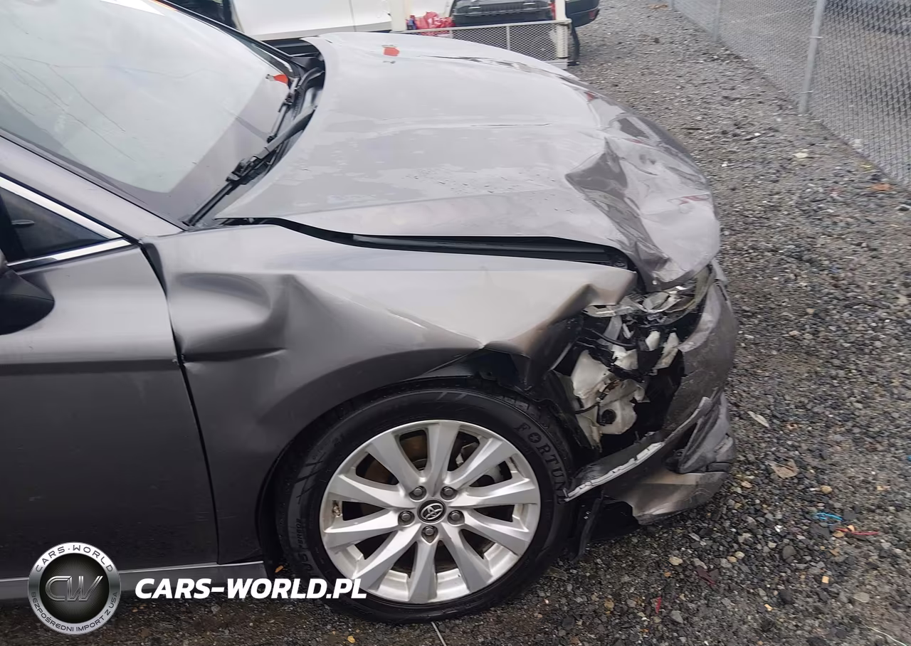 2018 Toyota Camry Le VIN:4T1B11HK2JU594985 - 19