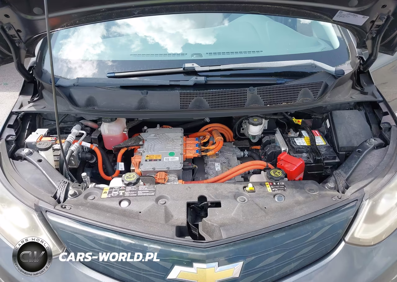 2017 Chevrolet Bolt Ev Lt VIN:1G1FW6S03H4128545 - 10