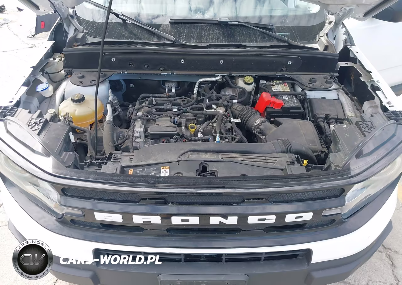 2021 Ford Bronco Sport Outer Banks VIN:3FMCR9C69MRB21389 - 10