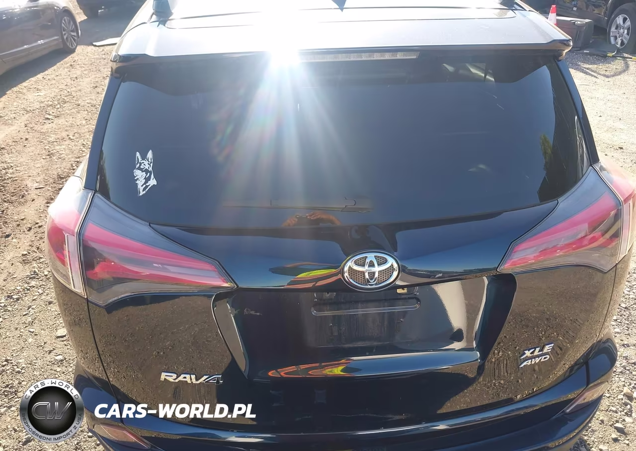 2017 Toyota Rav4 Xle VIN:JTMRFREV3HD220493 - 16