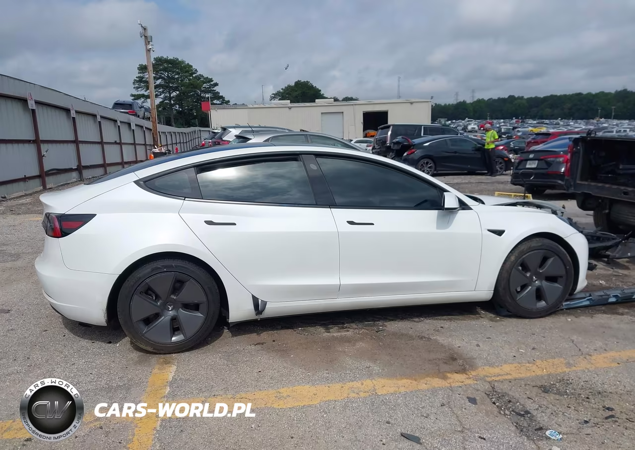 2023 Tesla Model 3 Rear-Wheel Drive VIN:5YJ3E1EA0PF544838 - 12