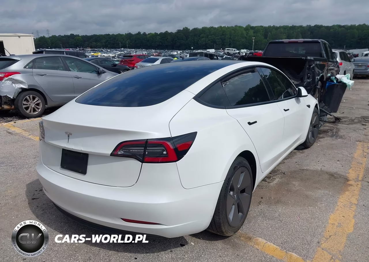 2023 Tesla Model 3 Rear-Wheel Drive VIN:5YJ3E1EA0PF544838 - 4