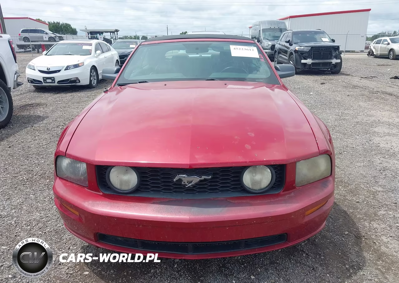 2009 Ford Mustang Gt Premium VIN:1ZVHT85H695101399 - 11
