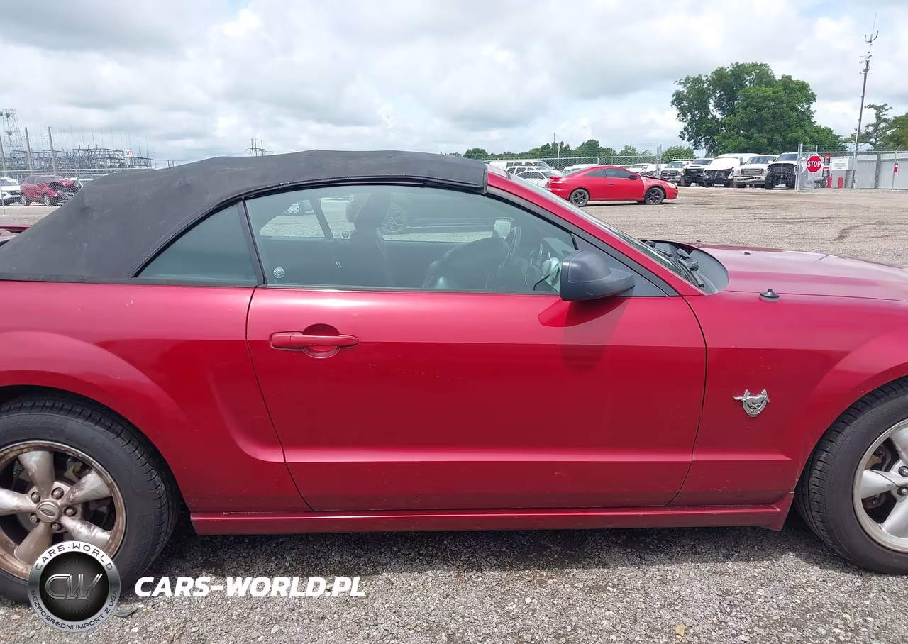 2009 Ford Mustang Gt Premium VIN:1ZVHT85H695101399 - 12