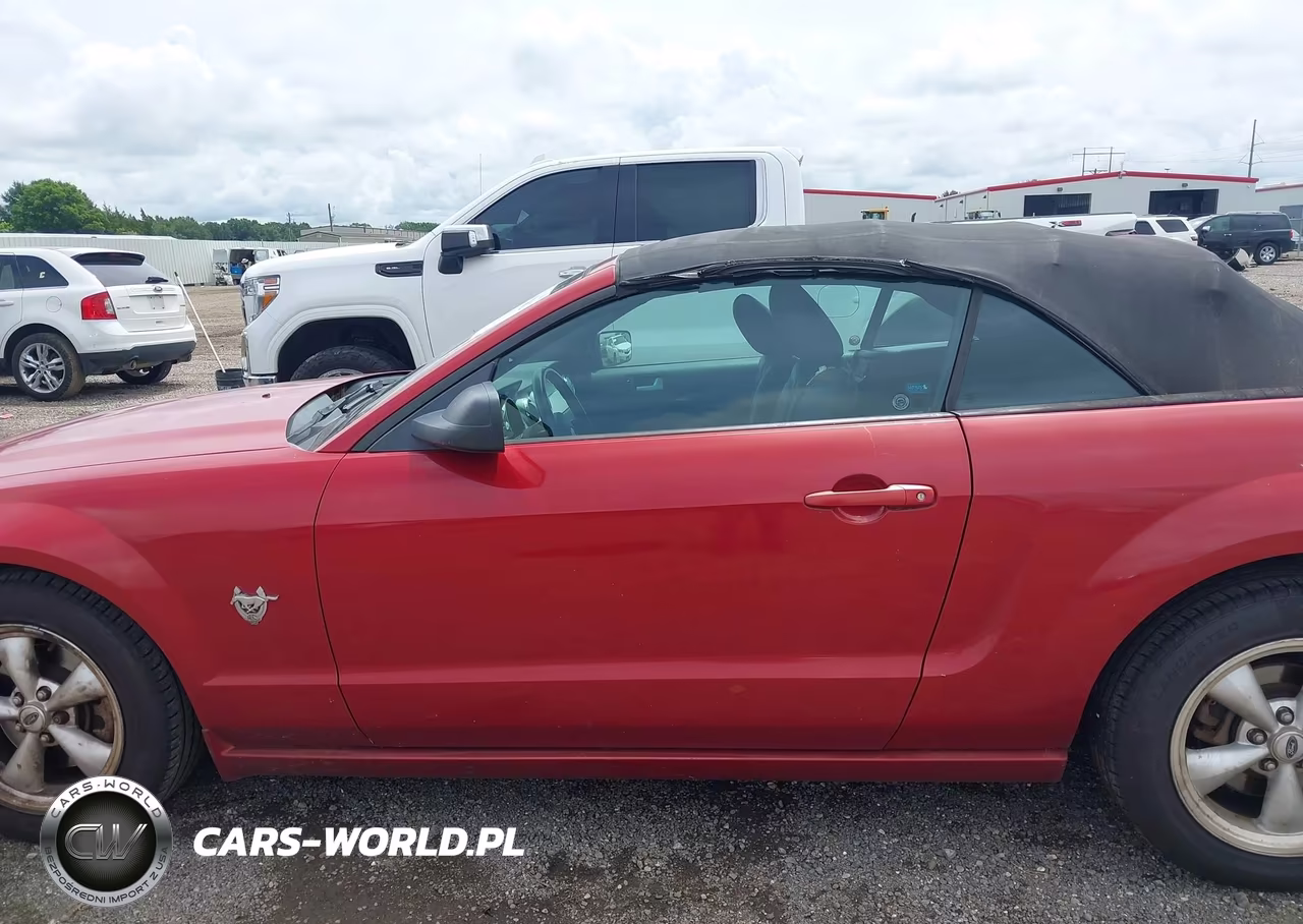 2009 Ford Mustang Gt Premium VIN:1ZVHT85H695101399 - 13