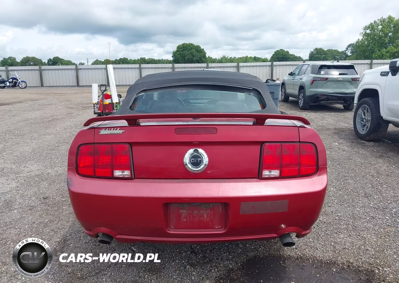 2009 Ford Mustang Gt Premium VIN:1ZVHT85H695101399 - 15